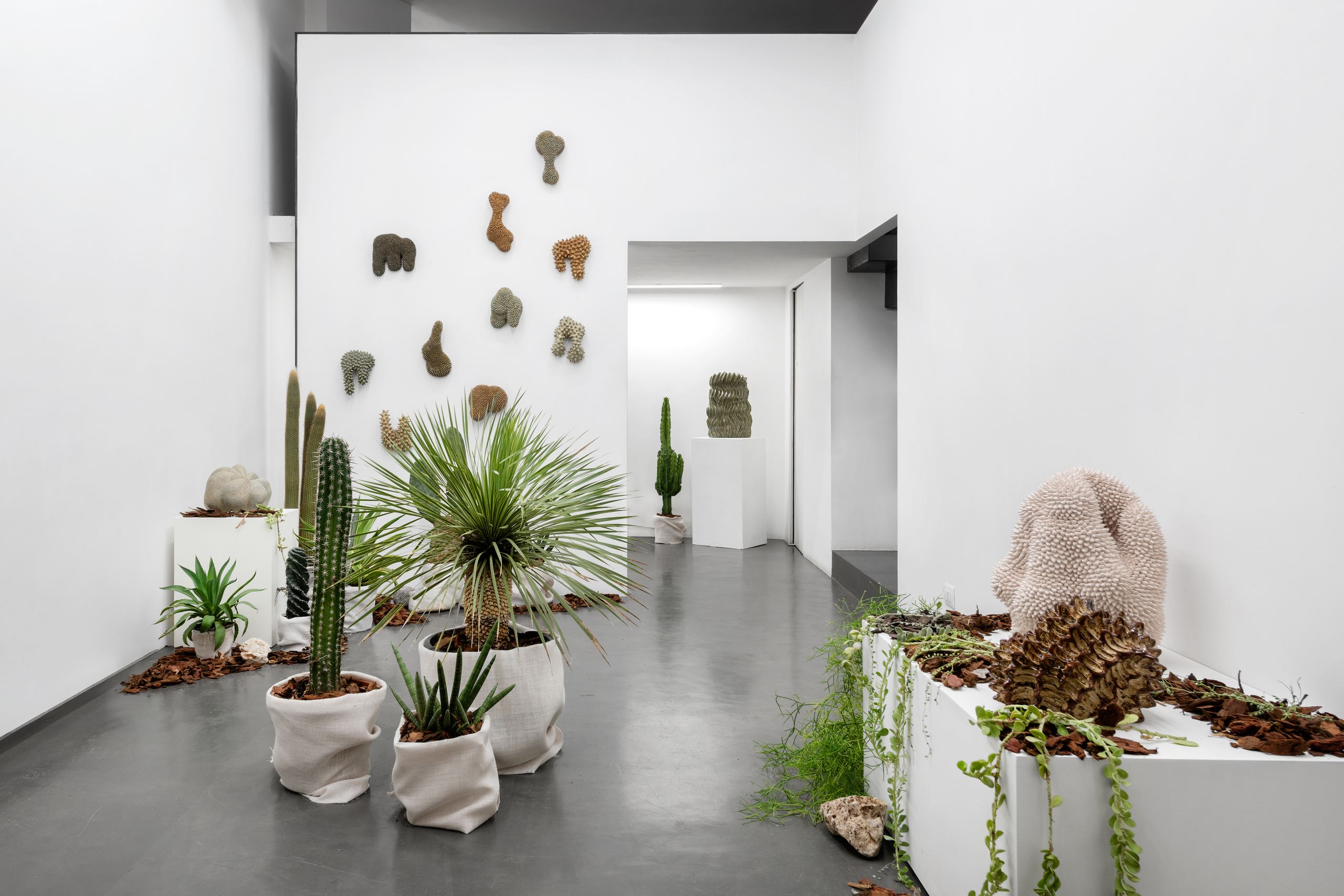 Andrés Anza, Paisaje a la montaña, solo show at Galleria Anna Marra