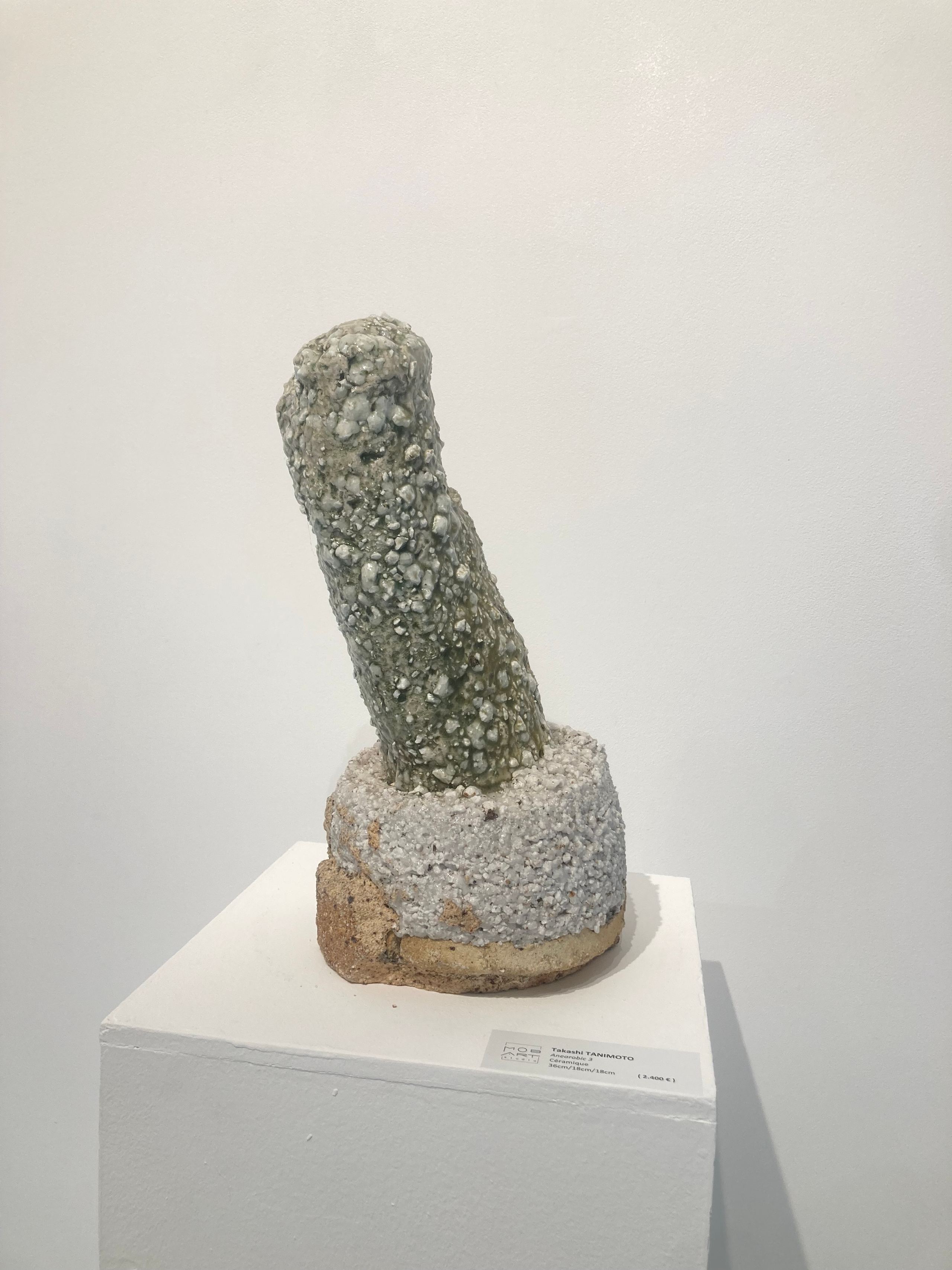Takashi TANIMOTO Anaerobic