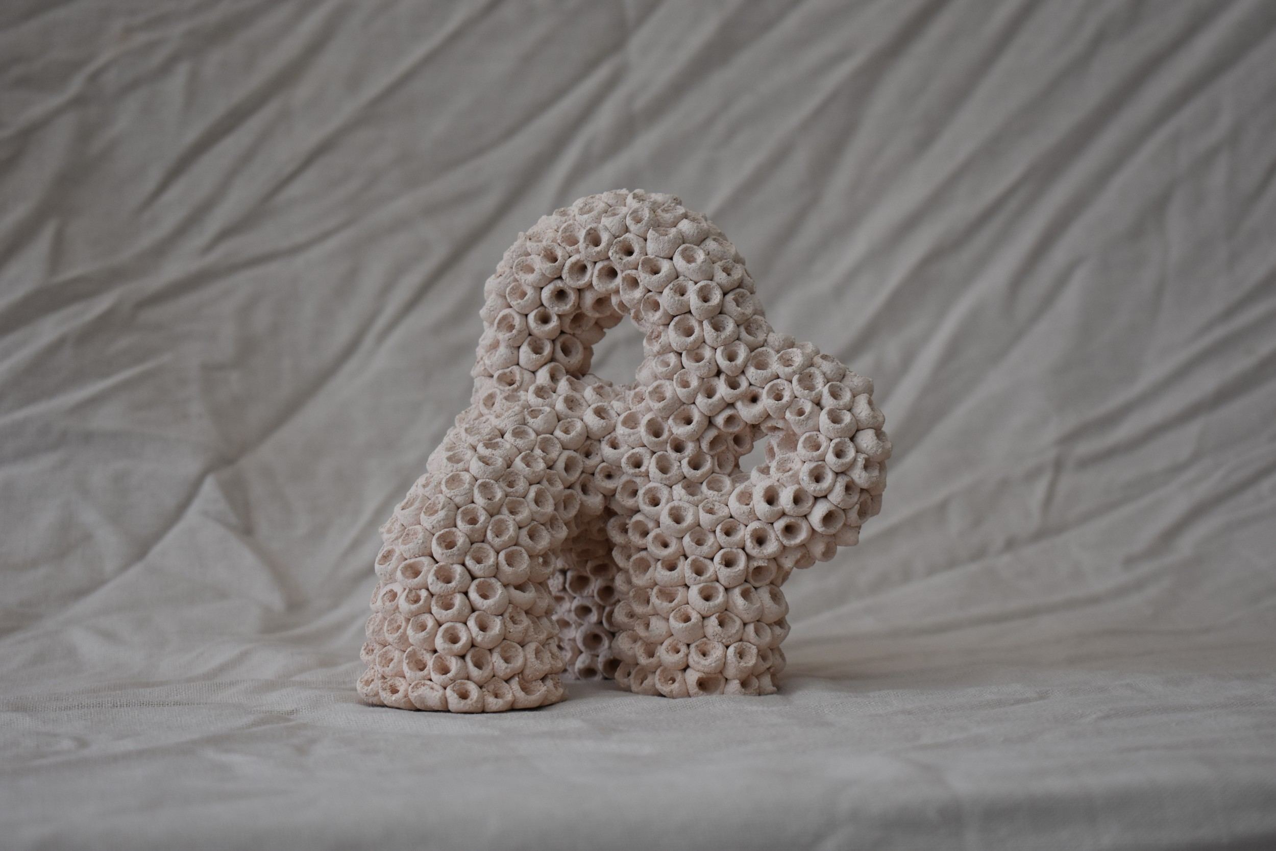 Dana Zvulun, Walker n.3, 2025