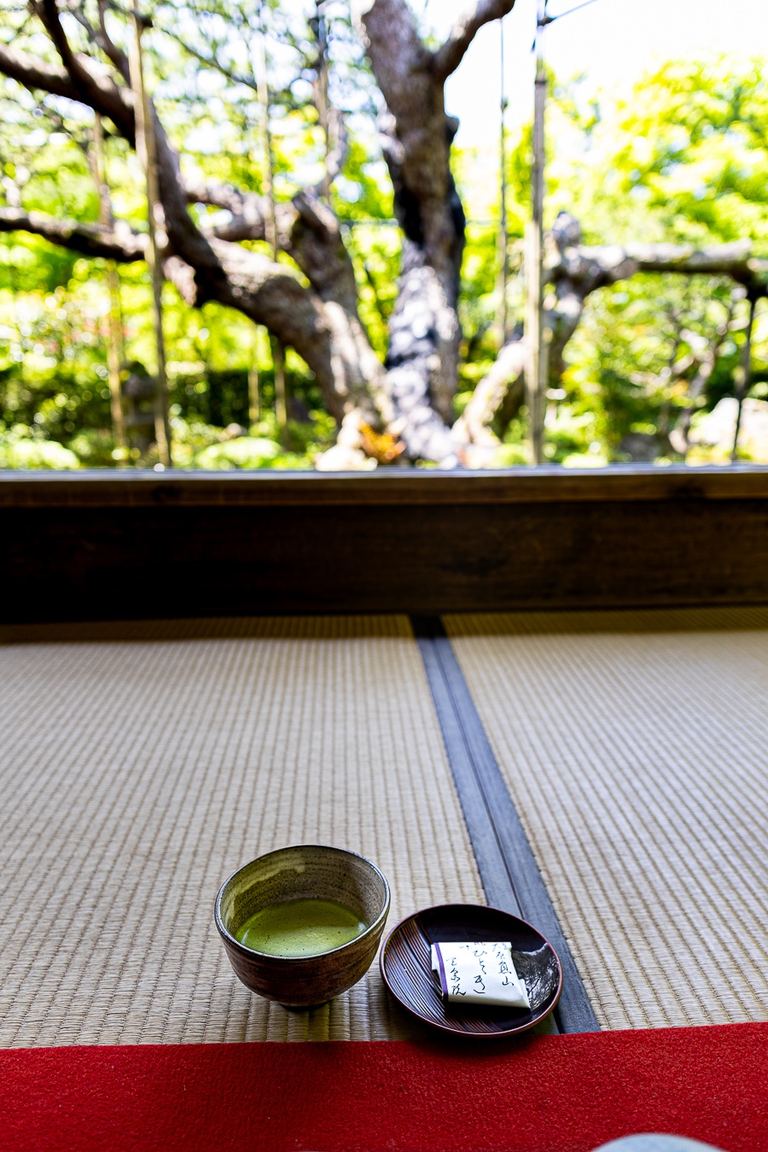 Bol de matcha sur un tatami du Hosen-in, devant le pin de plus de 700 ans encadré par la fenêtre