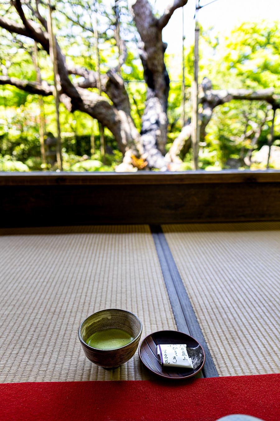 Bol de matcha sur un tatami du Hosen-in, devant le pin de plus de 700 ans encadré par la fenêtre