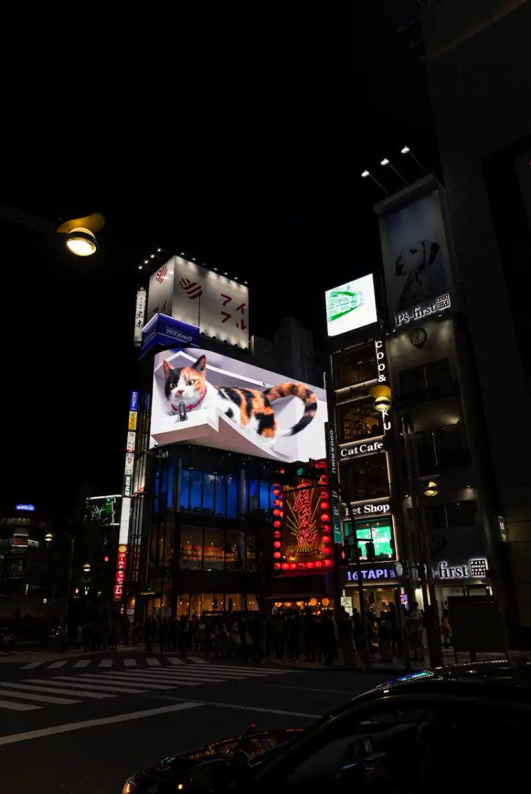 Écran géant avec chat à Shinjuku