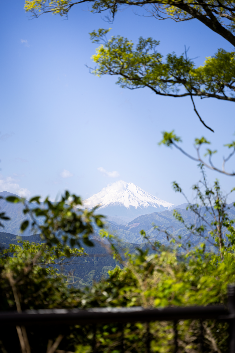 Vue sur le Mont Fuji