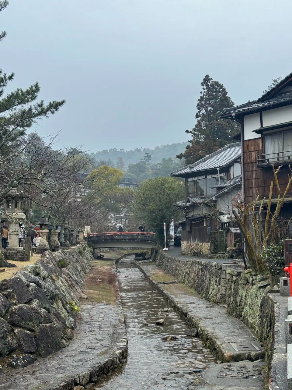 Ruelle de Miyajima