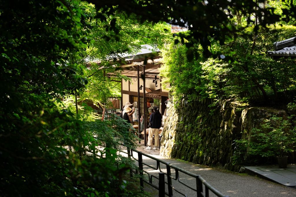 Ohara — Un village de montagne à une heure de Kyoto, où la mousse, les maisons de thé et le shiso rouge donnent l'impression que le temps s'est arrêté.