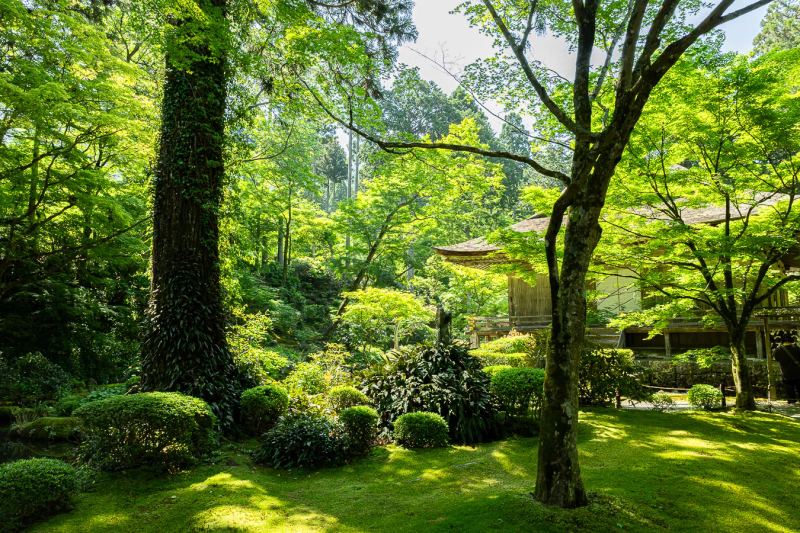 Sanzen-in