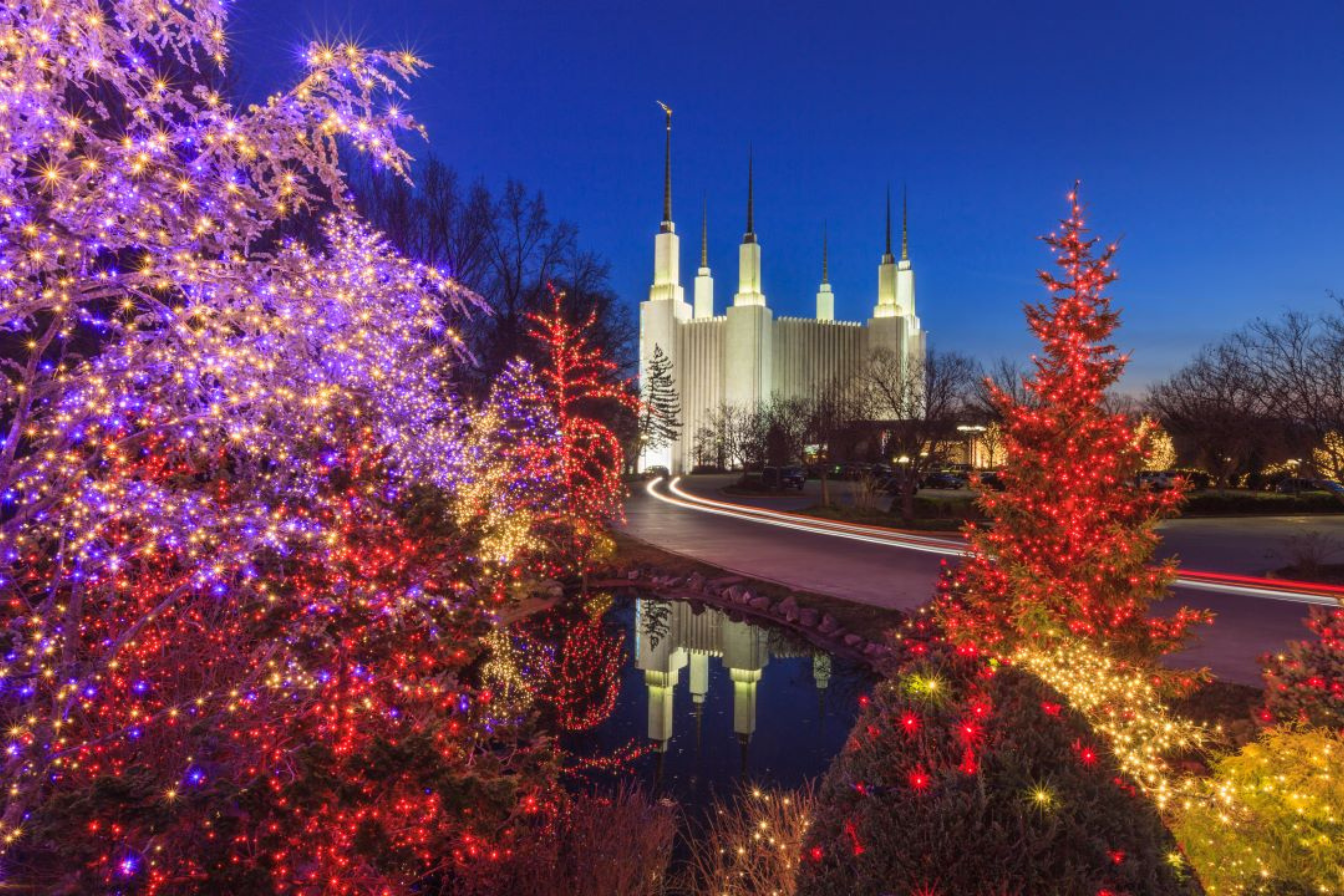Top 10 Washington, DC Christmas Events (2025 Guide for Families)