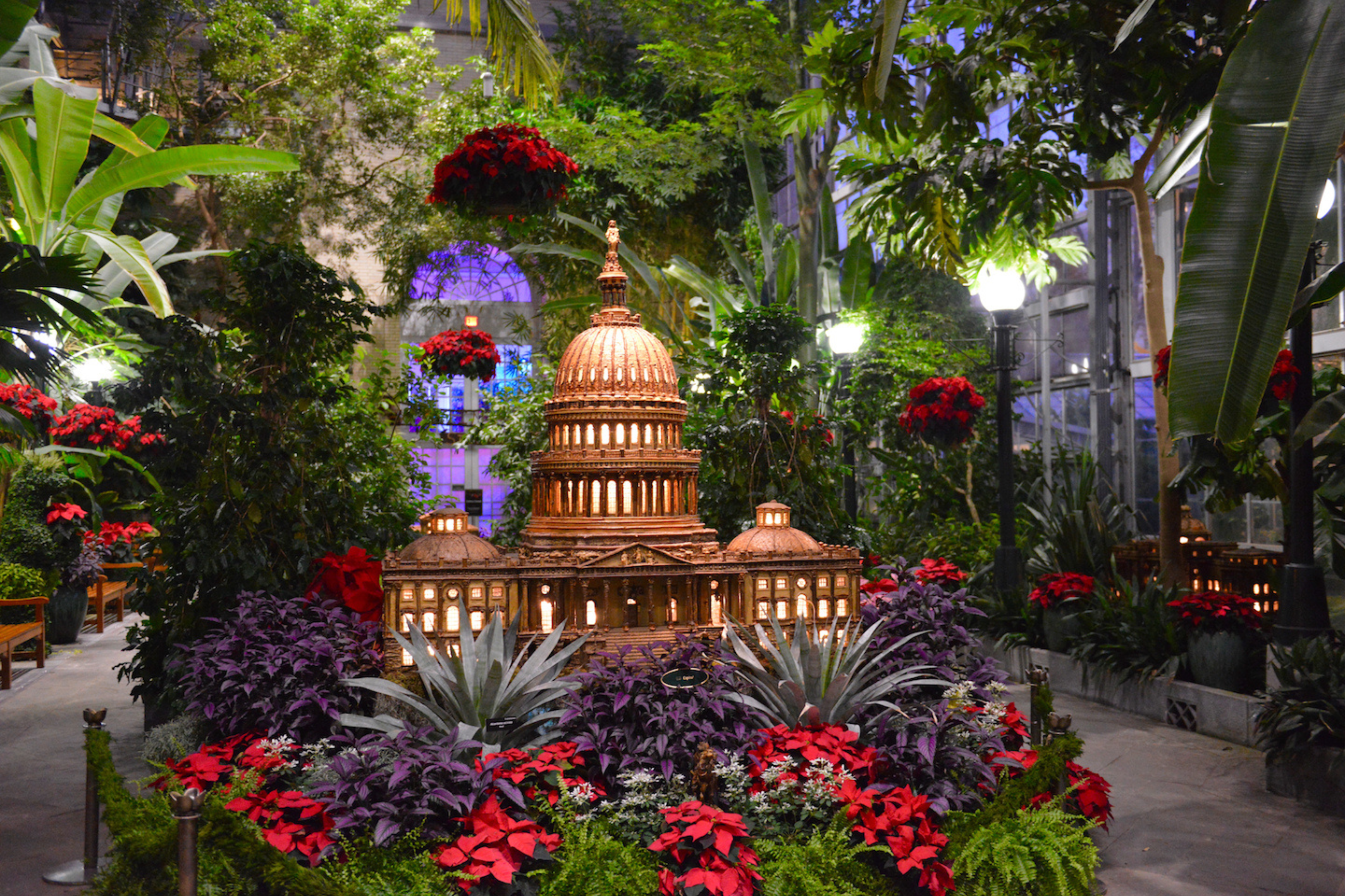 Top 10 Washington, DC Christmas Events (2025 Guide for Families)