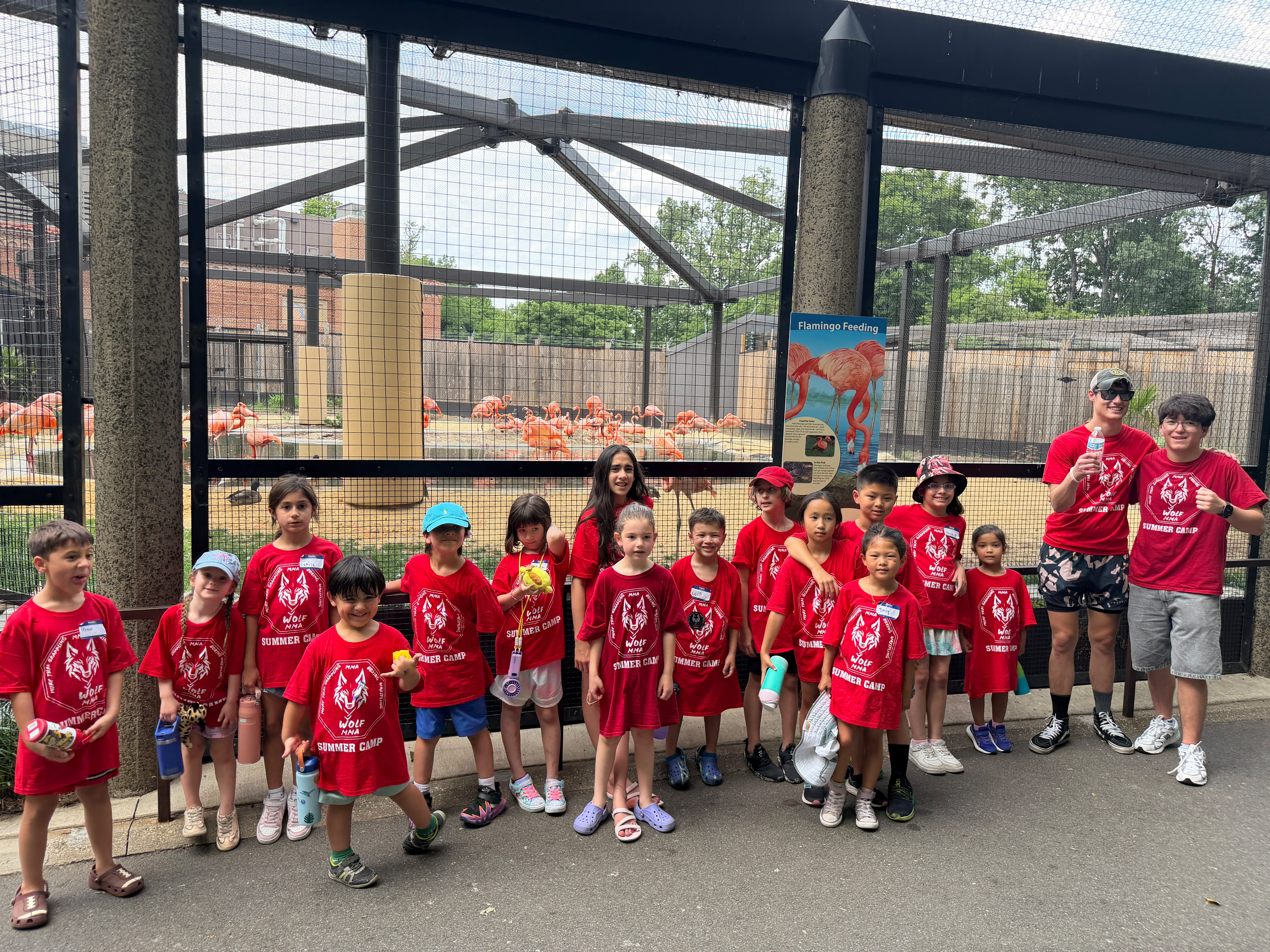 Wolf MMA summer camp group in red camp shirts posing in front of a flamingo exhibit on a field trip
