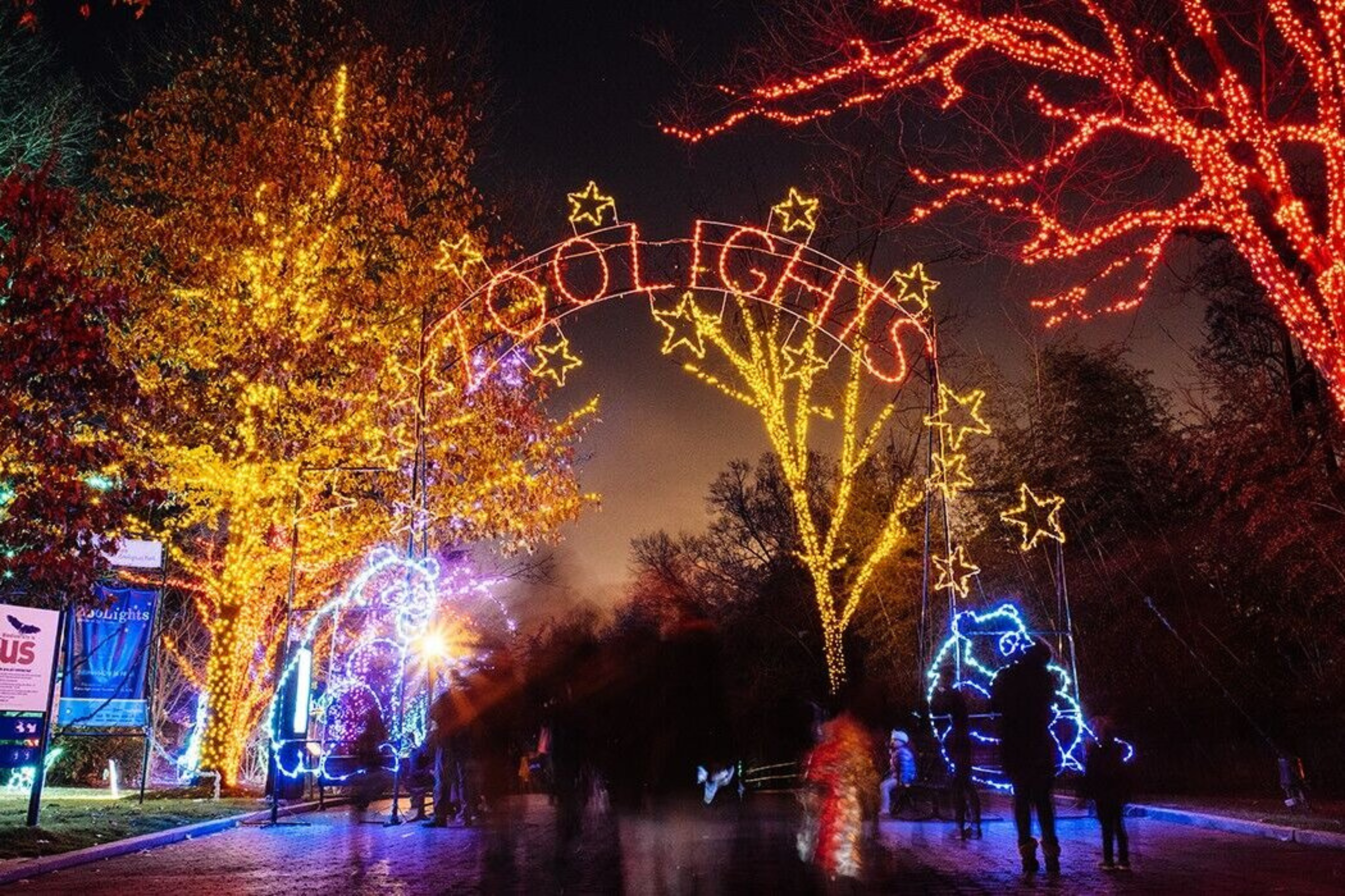 Top 10 Washington, DC Christmas Events (2025 Guide for Families)