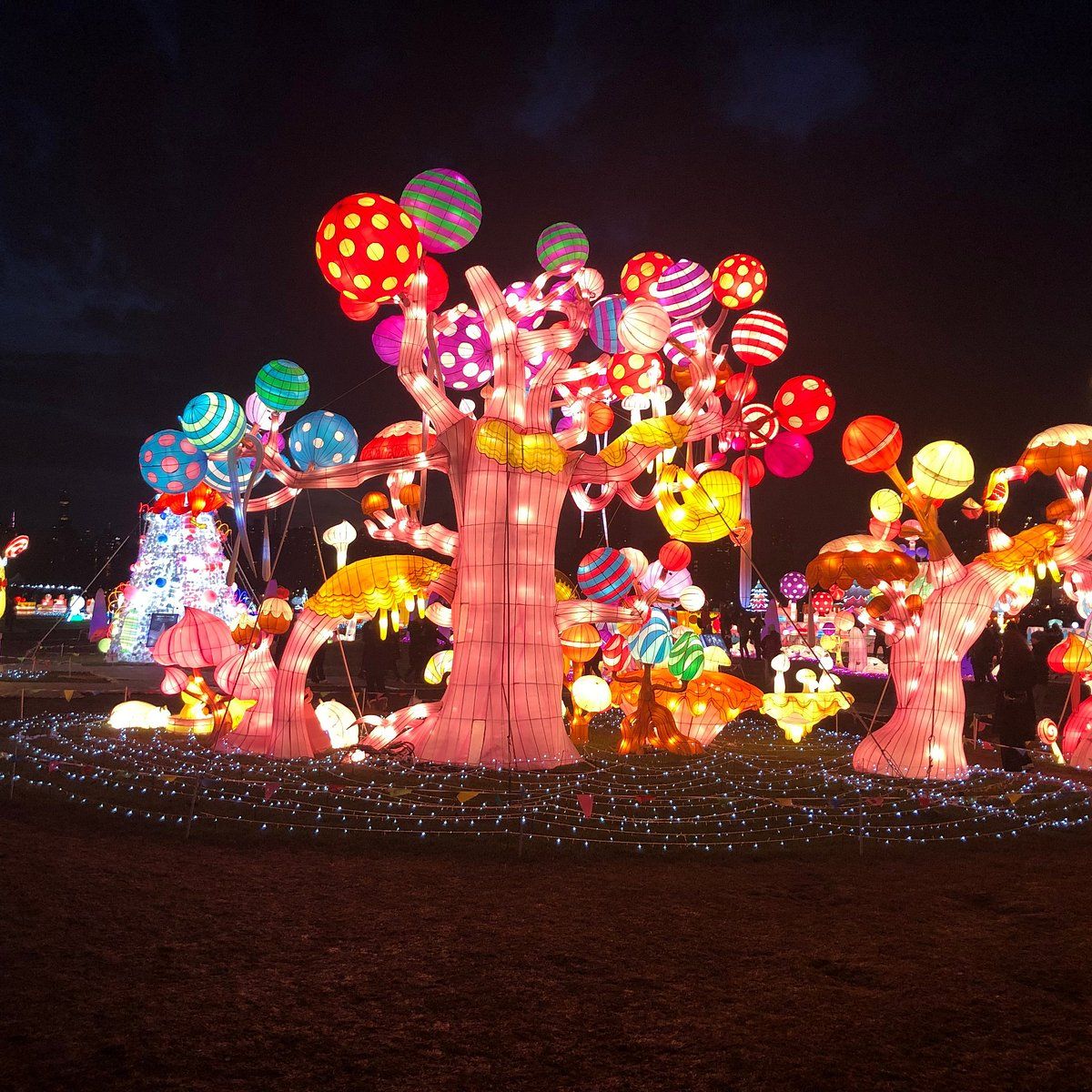 The Ultimate 2025 Guide to Christmas in New York City: Lights, Ice, and Holiday Magic 
