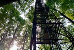 Ein Eddy Covariance-Turm, der an einem der Messstandorte atmosphärische Messungen durchführt.