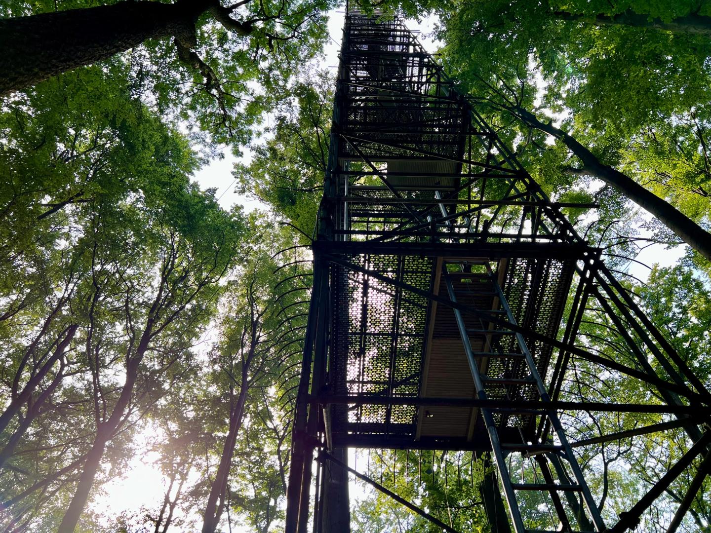 Ein Eddy Covariance-Turm, der an einem der Messstandorte atmosphärische Messungen durchführt.