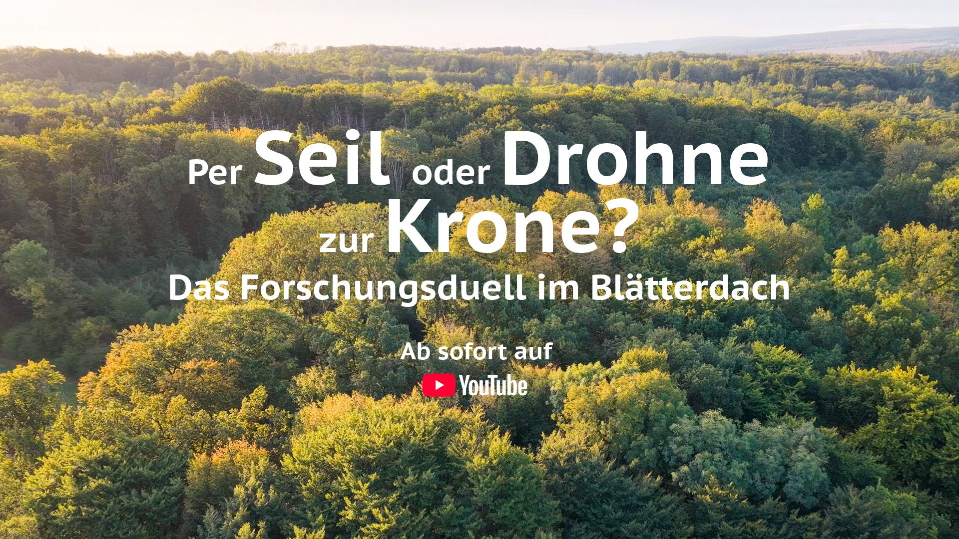 Per Seil oder Drohne zur Krone?