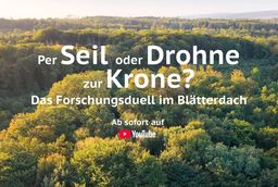 Per Seil oder Drohne zur Krone?