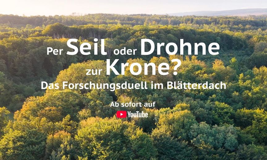 Per Seil oder Drohne zur Krone?