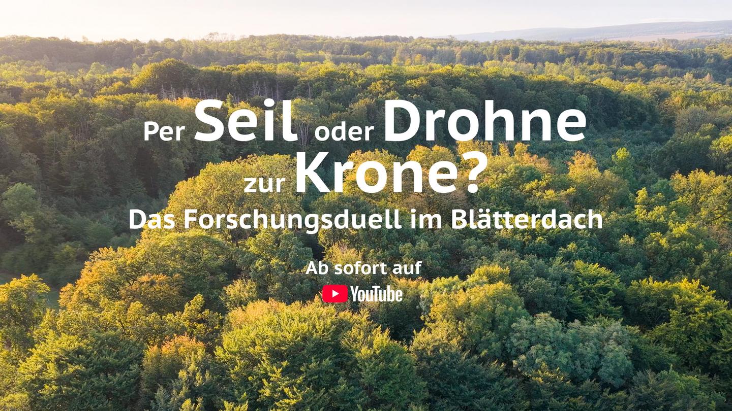 Per Seil oder Drohne zur Krone?