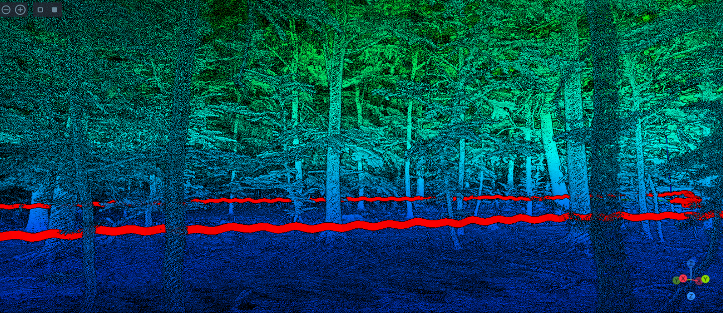 Laser scan data as digitally displayed in the programme in FARO Connect Viewer. A stand of broadleaf trees is shown. The trees and surrounding area are not shown in natural colours. The lower levels are shown in blue, which changes to turquoise in the middle levels and green in the upper levels. Many details such as branches and twigs are visible. A red band represents the path of the scanner and runs twice through the image.