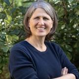 Prof. Dr. Catrin Westphal