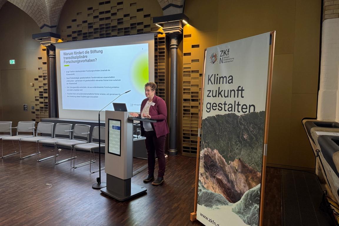 Input von Dr. Cora Schaffert-Ziegenbalg, VolkswagenStiftung