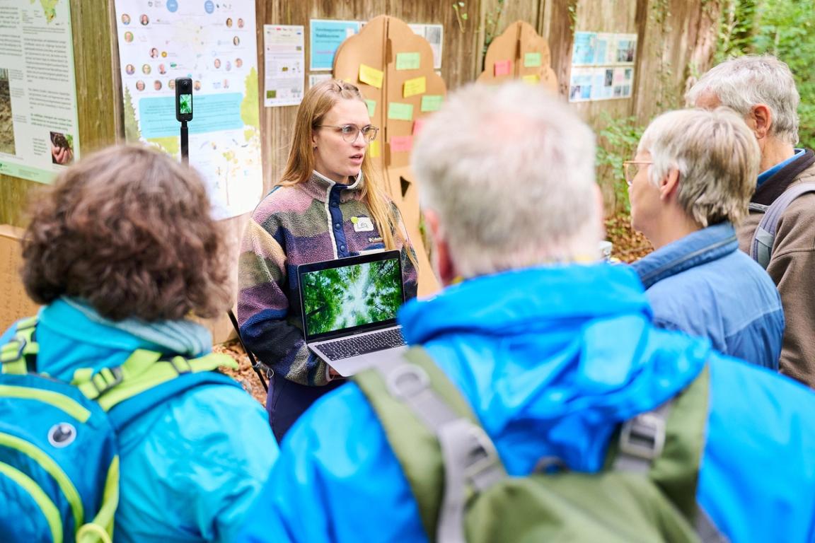 Wald mit anderen Augen sehen: Anhand verschiedener Waldbilder untersuchen die Forschenden, wie Menschen unterschiedliche Waldzustände wahrnehmen und bewerten.