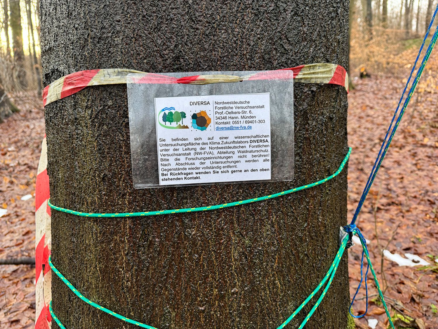 Untersuchungsgelände DIVERSA