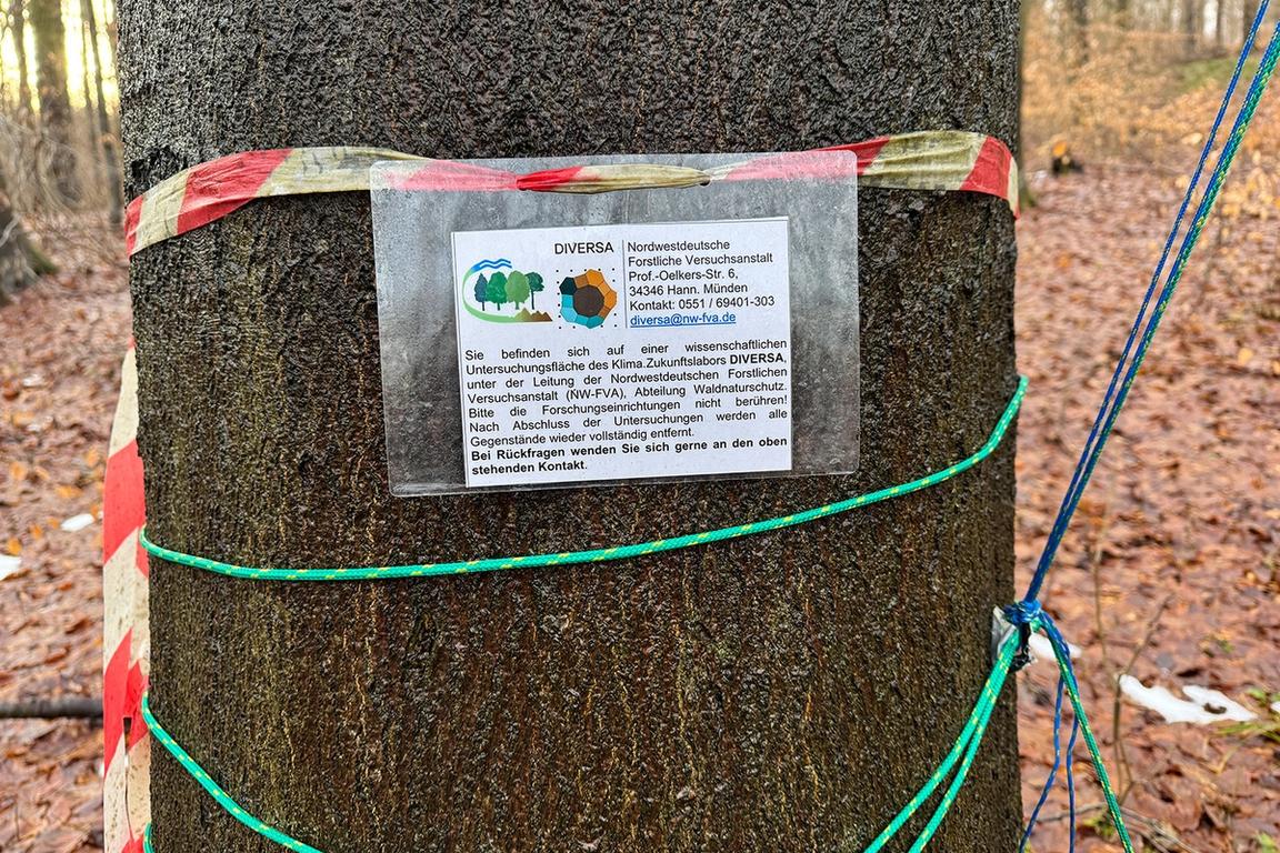 Untersuchungsgelände DIVERSA