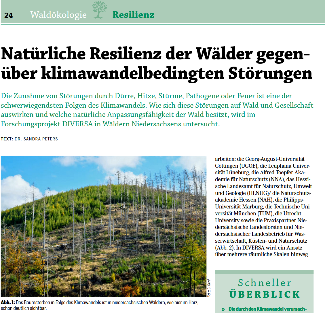 DIVERSA stellt sich in der Allgemeinen Forstzeitschrift vor