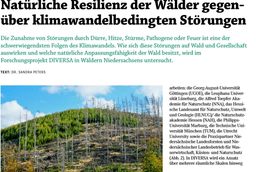 DIVERSA stellt sich in der Allgemeinen Forstzeitschrift vor