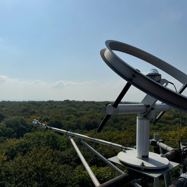 View of the forest from an eddy covariance tower