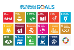 The Icons of 17 Sustainable Development Goals.