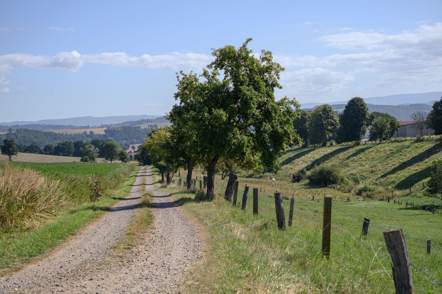 Landschaft