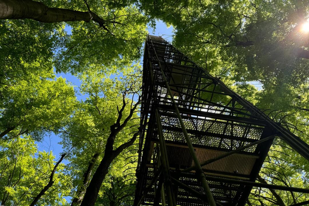 Der CO₂-Messturm oder auch Eddy Covariance-Turm im Göttinger Stadtwald vom Boden aus.