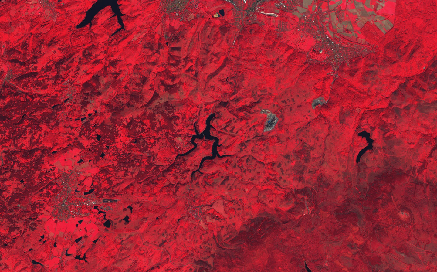False-color satellite image of the Harz Mountains from Sentinel-2. Vegetation appears in shades of red, with deep red indicating dense, healthy forest. Urban areas and bare land are shown in bluish tones, while water bodies appear dark or black. The image supports the monitoring of forest disturbances.
