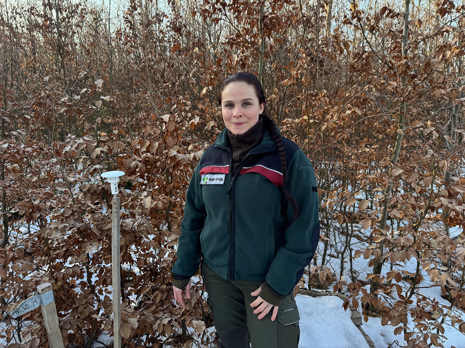 kein Scan bei Schnee