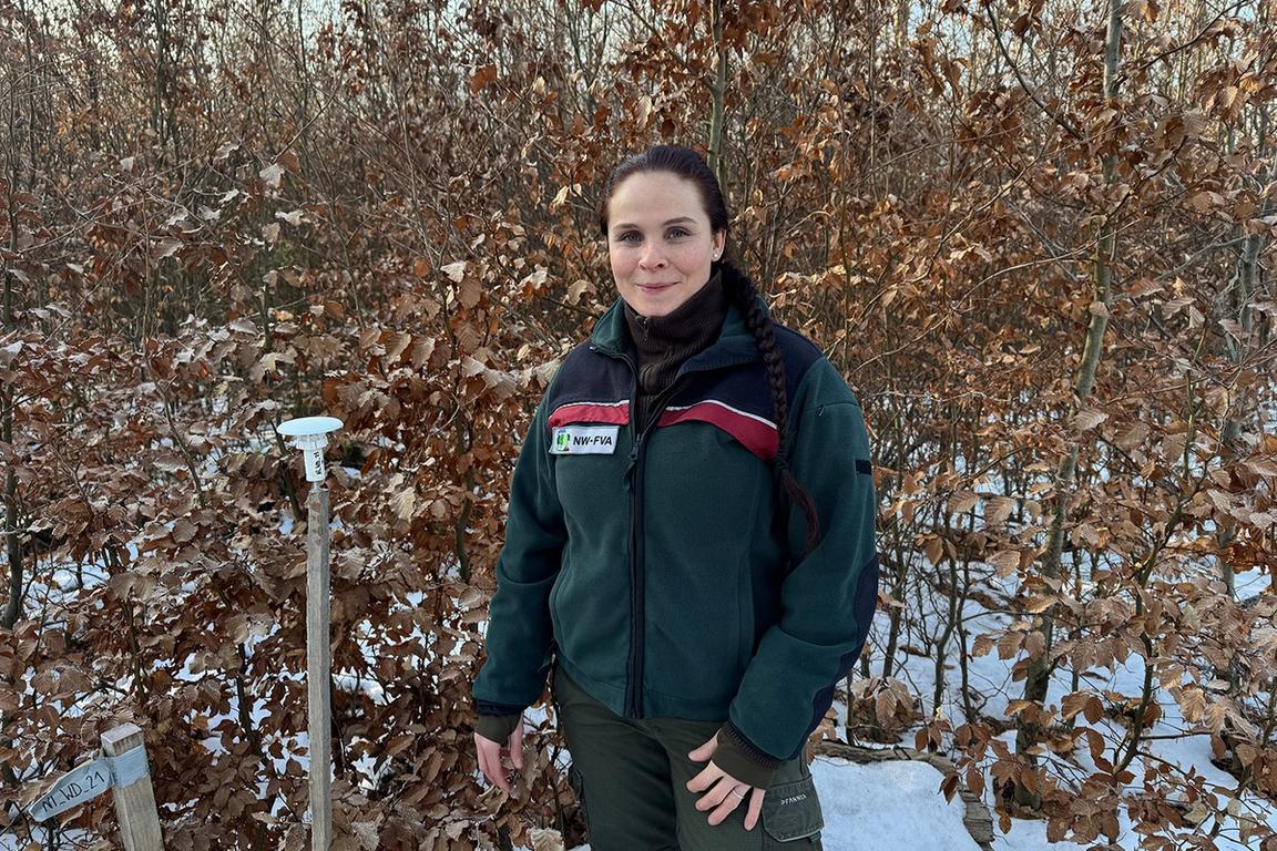 kein Scan bei Schnee