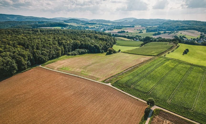 Aerial view of a large field with trees in the background