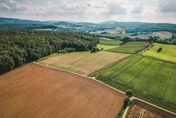 Luftaufnahme eines großen Feldes mit Bäumen im Hintergrund