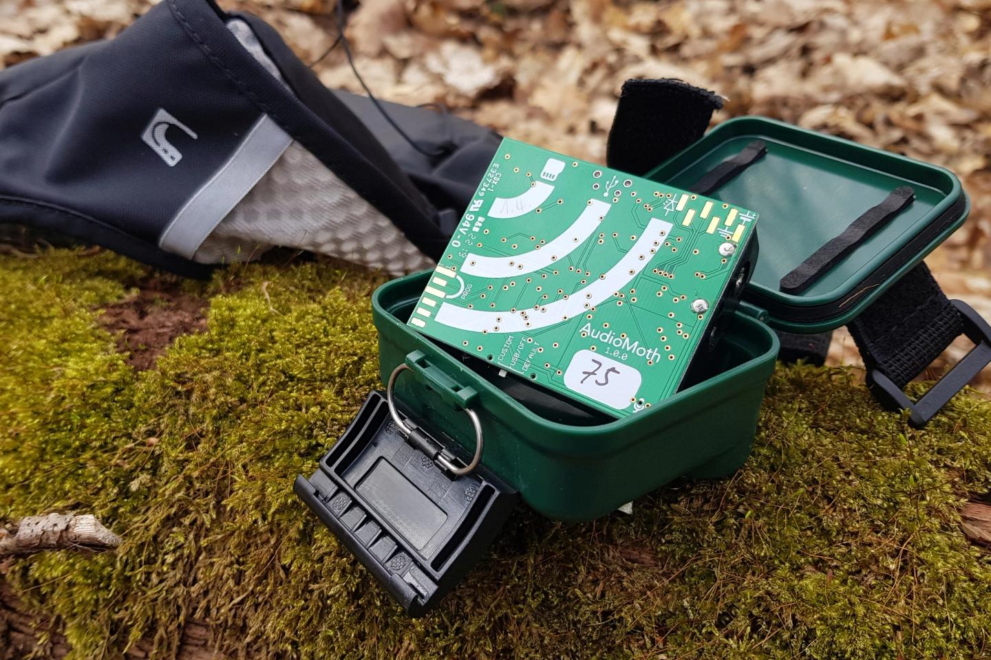 The illustration shows the acoustic recording device used by the sub-project. It is a device called AudioMoth from the company Open Acoustic Devices. The surface of the device is dark green with a metallic sheen and its design with printed circuit symbols for LEDs and batteries makes it look more like the inside of a device. To protect the device, there is a casing, which can also be seen in the picture. The casing is made of hard plastic material and protects the device from the weather. The device was photographed in a forest on a tree trunk overgrown with yellow-green moss.
