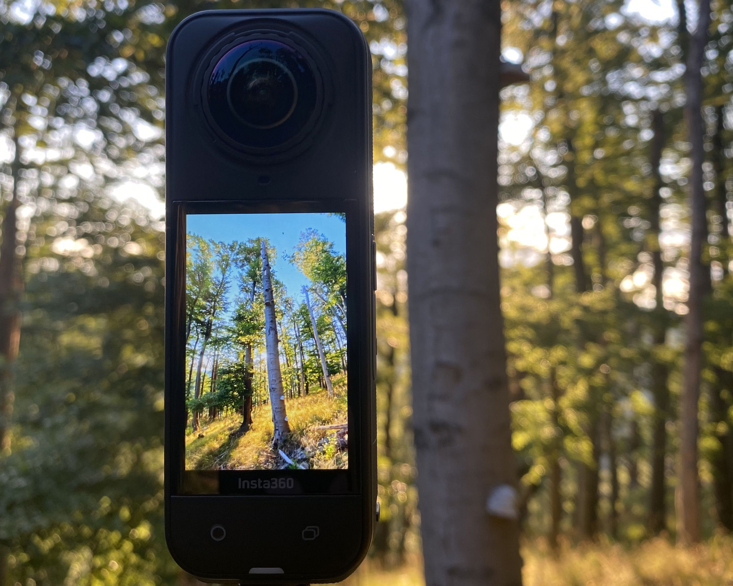 360 Grad-Bilder