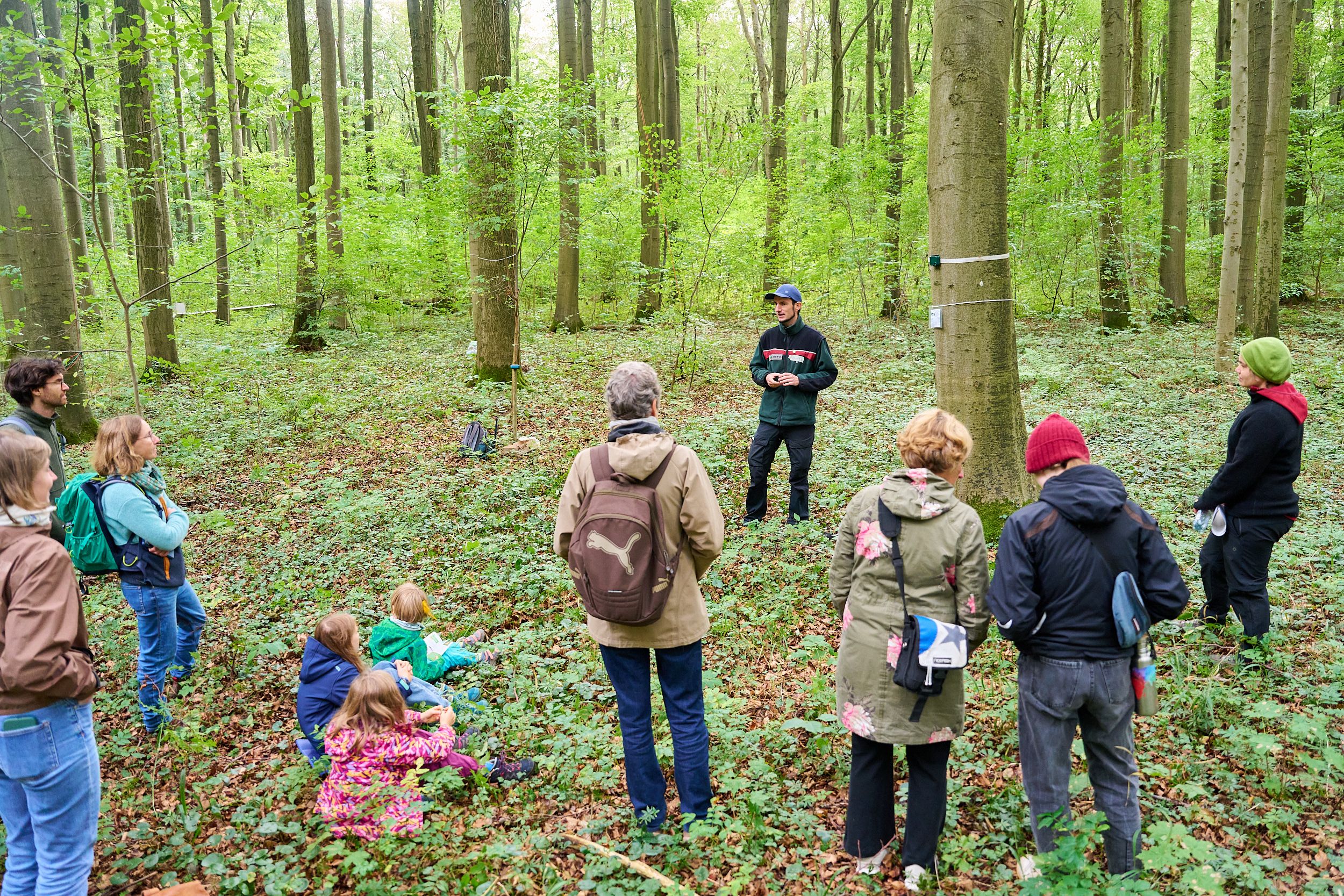 Nachtfalter und Geräusche des Waldes: Groß und Klein erfahren, wie Forschende mit Lichtfallen und akustischen Aufnahmen die Artenvielfalt im Wald untersuchen.