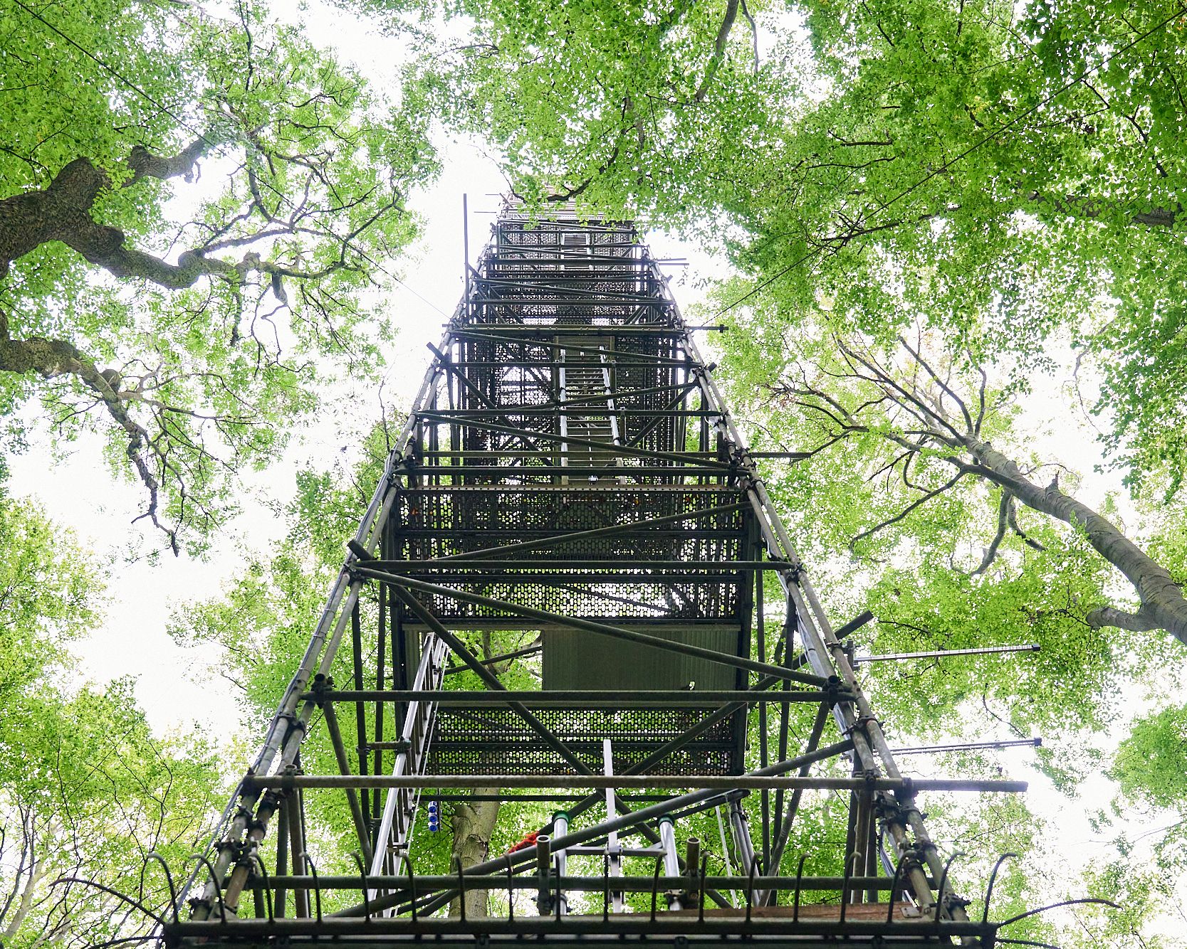 Perspektivwechsel auf 42 Metern: Auf dem Eddy-Turm konnten einige Teilnehmende die Messtechnik über den Baumkronen aus nächster Nähe kennenlernen.