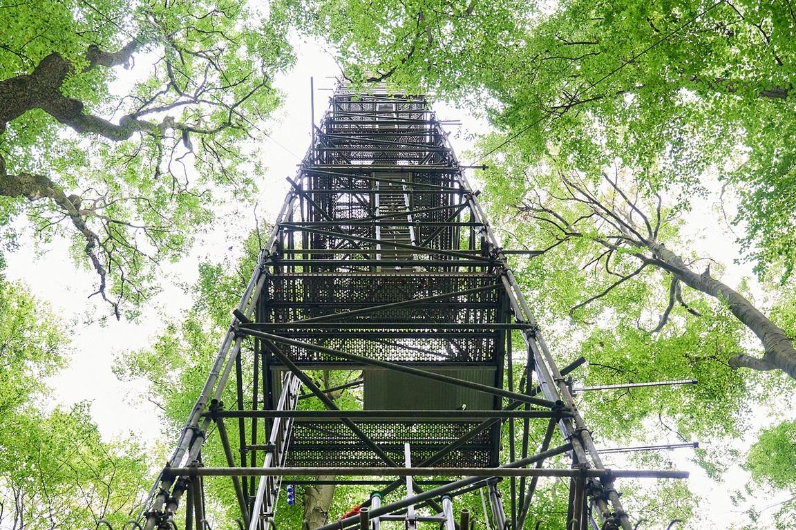 Perspektivwechsel auf 42 Metern: Auf dem Eddy-Turm konnten einige Teilnehmende die Messtechnik über den Baumkronen aus nächster Nähe kennenlernen.