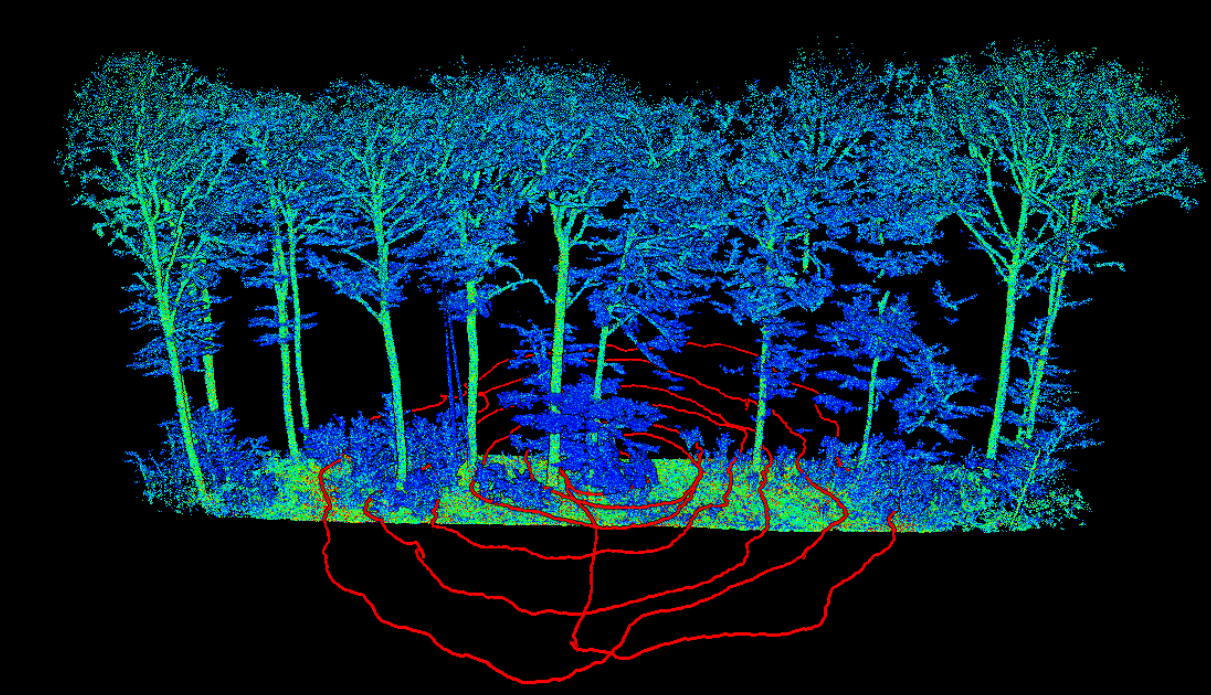 Ein Ausschnitt aus den Aufnahmen, anhand der roten Kreise kann man die Gehroute nachverfolgen.