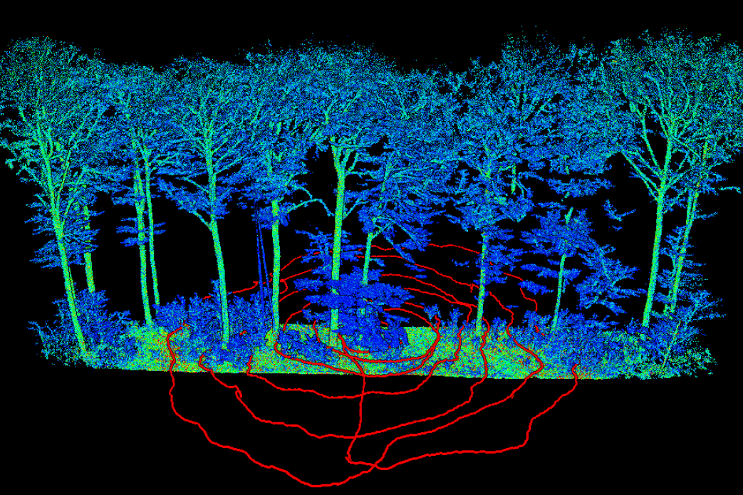 Ein Ausschnitt aus den Aufnahmen, anhand der roten Kreise kann man die Gehroute nachverfolgen.