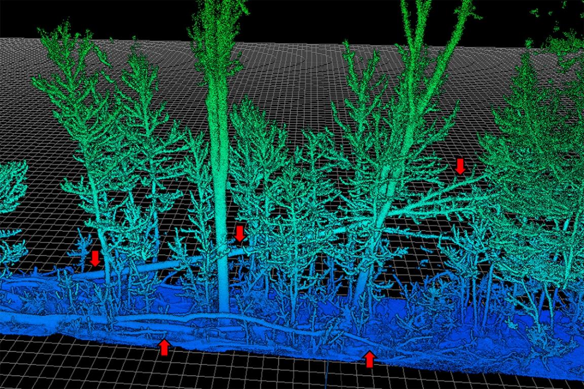 Laserscan