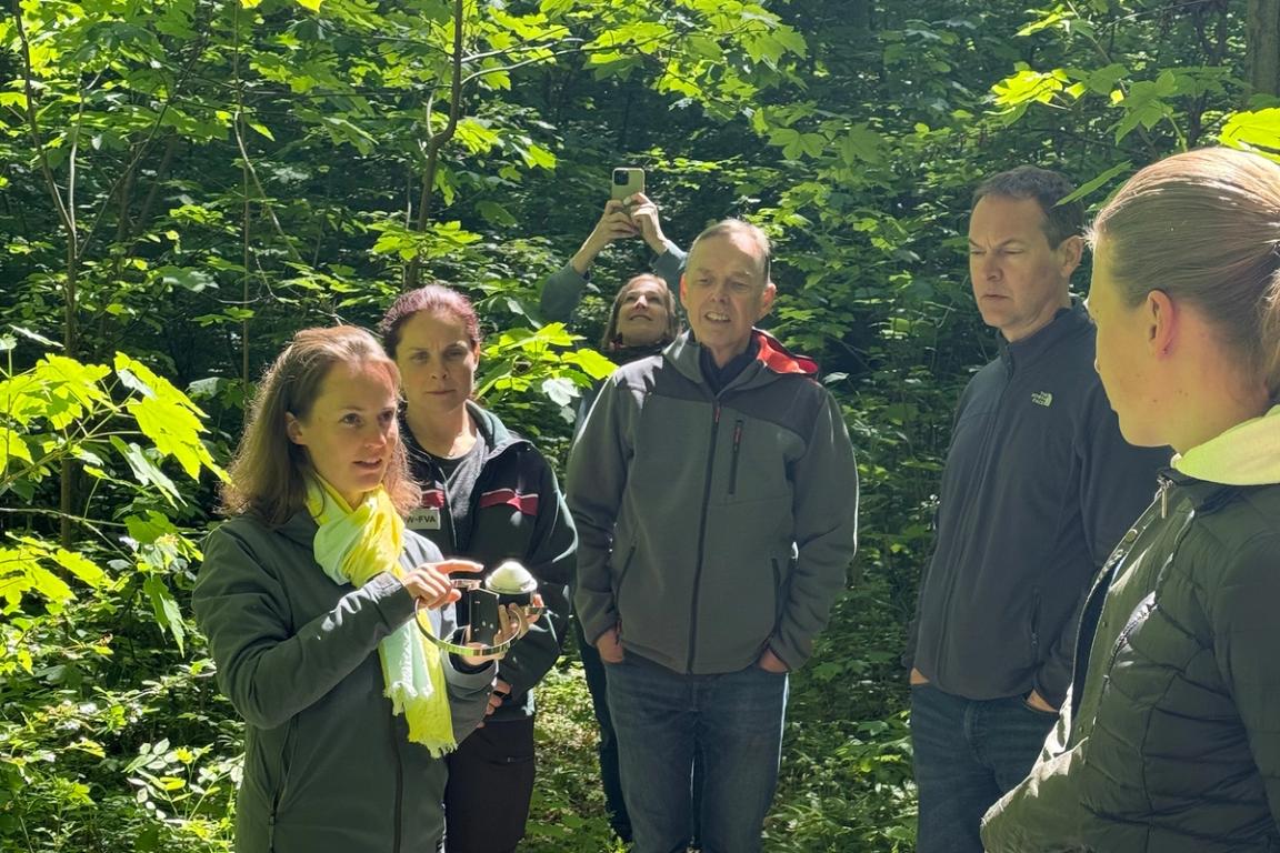 Mit einem Dendrometer werden etwa kleine Veränderungen im Baumumfang gemessen. Diese Veränderungen geben Aufschluss über die Menge des im Baum gespeicherten Wassers sowie über das Baumwachstum.