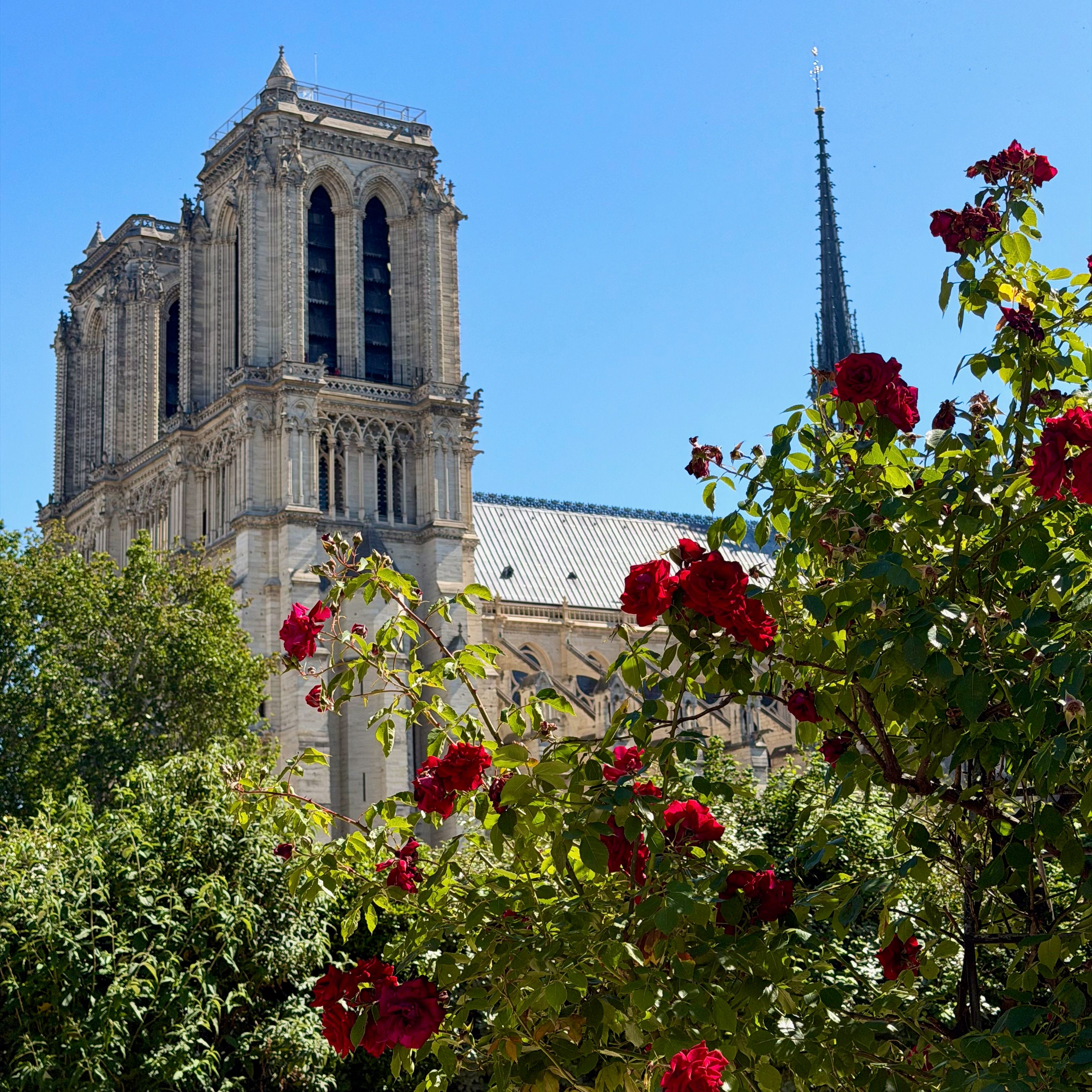 The cathedral of Notre-Dame the Paris with flowering roses