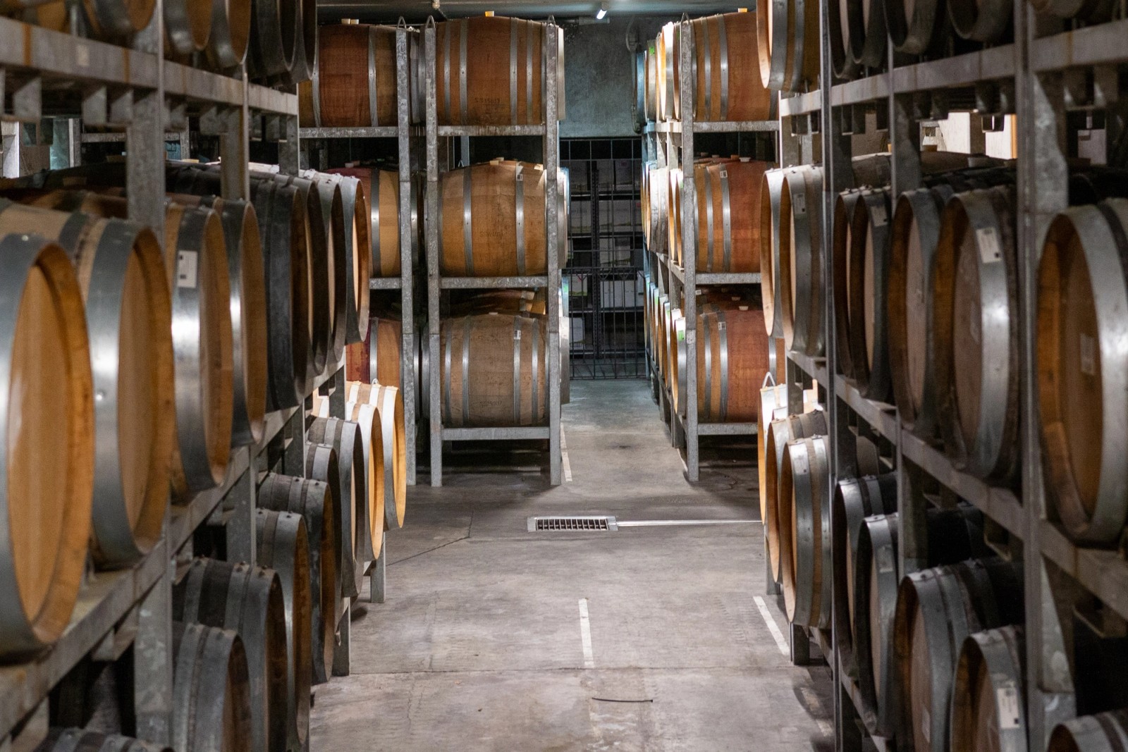 Barrels of wine in the cellar at Wither Hills
