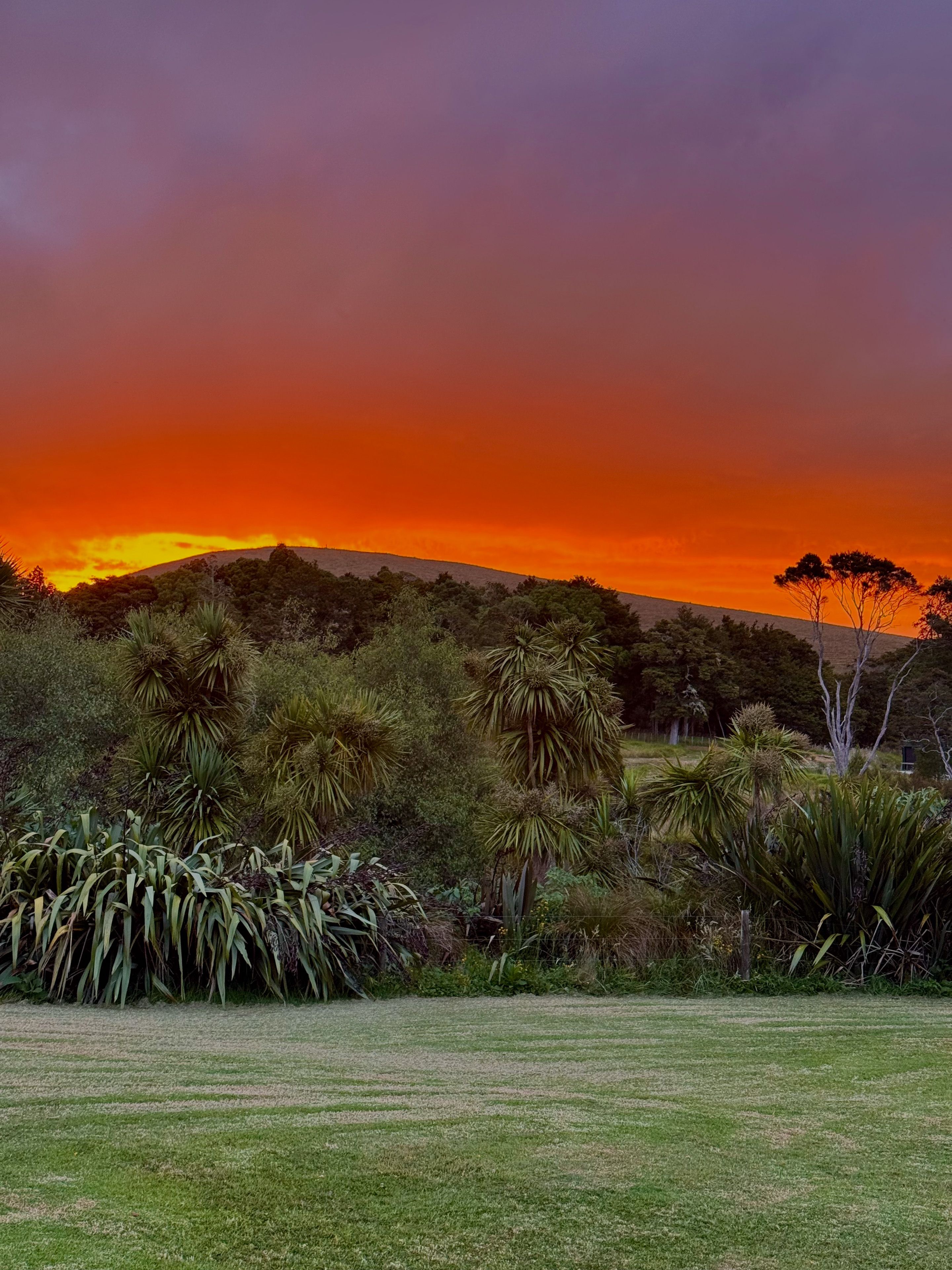 Fiery sunset in Kaiwaka
